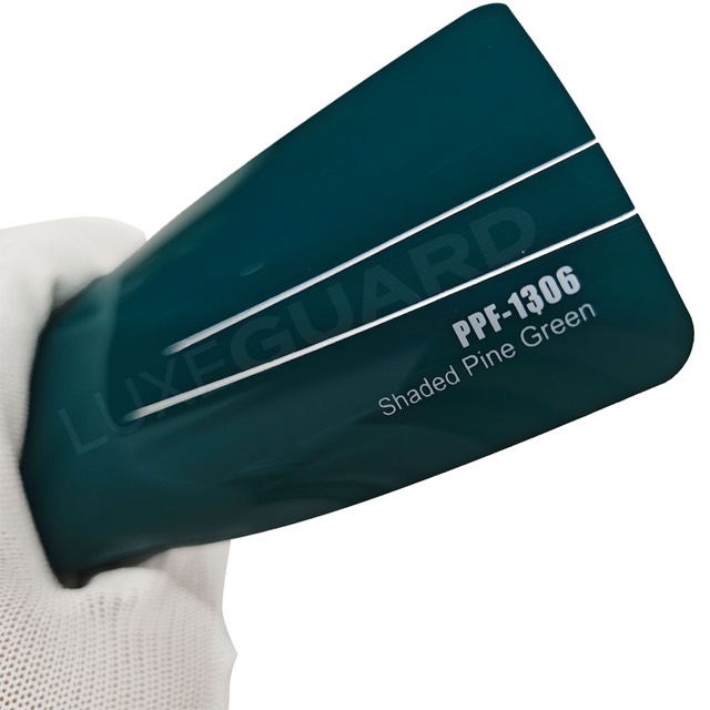 Shaded Pine Green